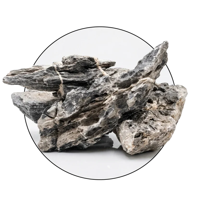 How to Choose Aquarium Rocks and Driftwood Safely