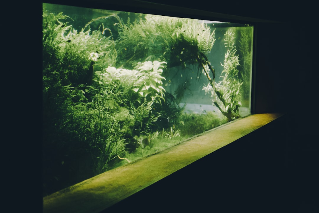 How to Use FritzZyme for Aquarium Cycling and Water Quality