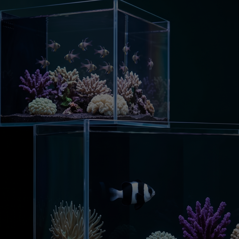FISH TANKS