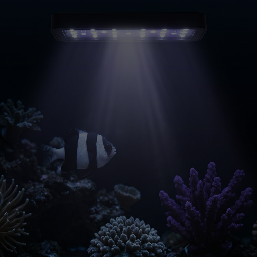 AQUARIUM LIGHTING