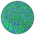 Aquatees Green Mix Aquarium Sand | 1 KG