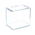 Aquatees Super Clear Rimless Glass Fish Tank | 7L
