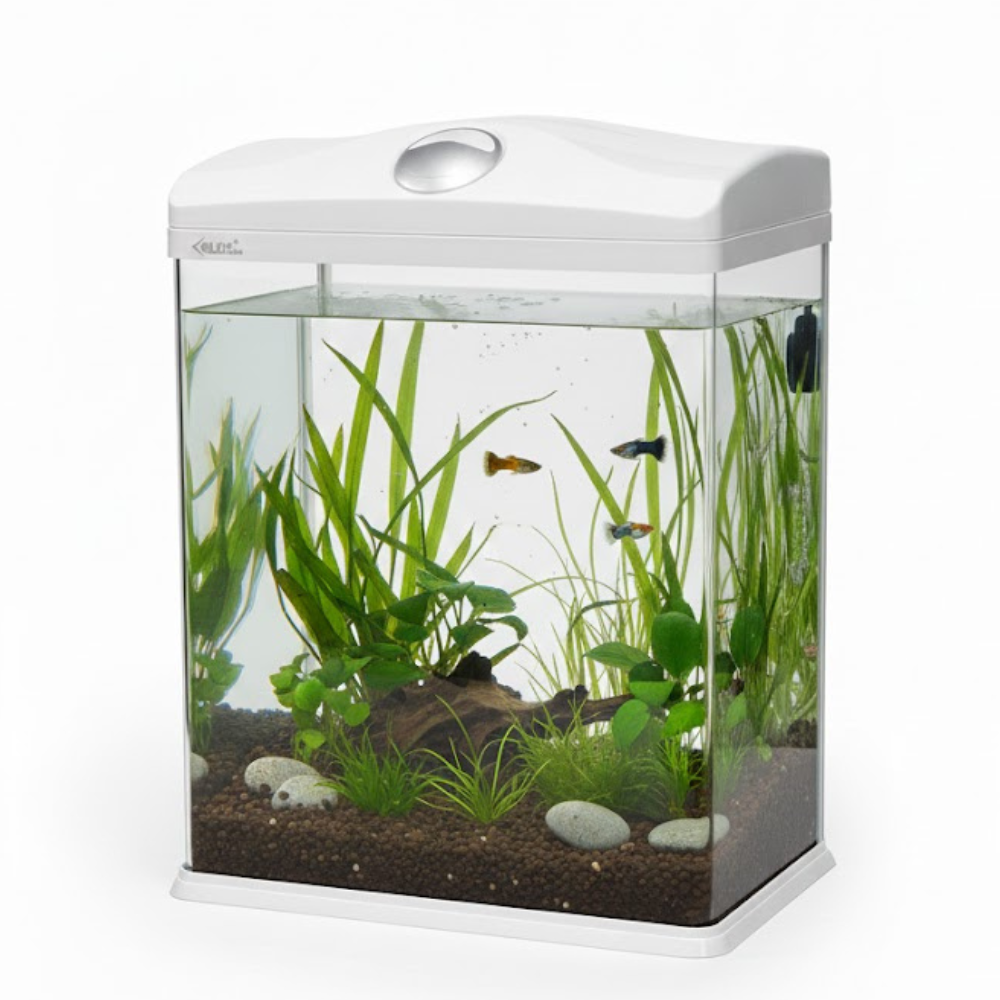 XILONG 110L Acrylic Aquarium | Complete Fish Tank Setup – AQUATEES FISHLAND