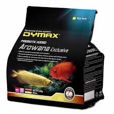Dymax Arowana Exclusive