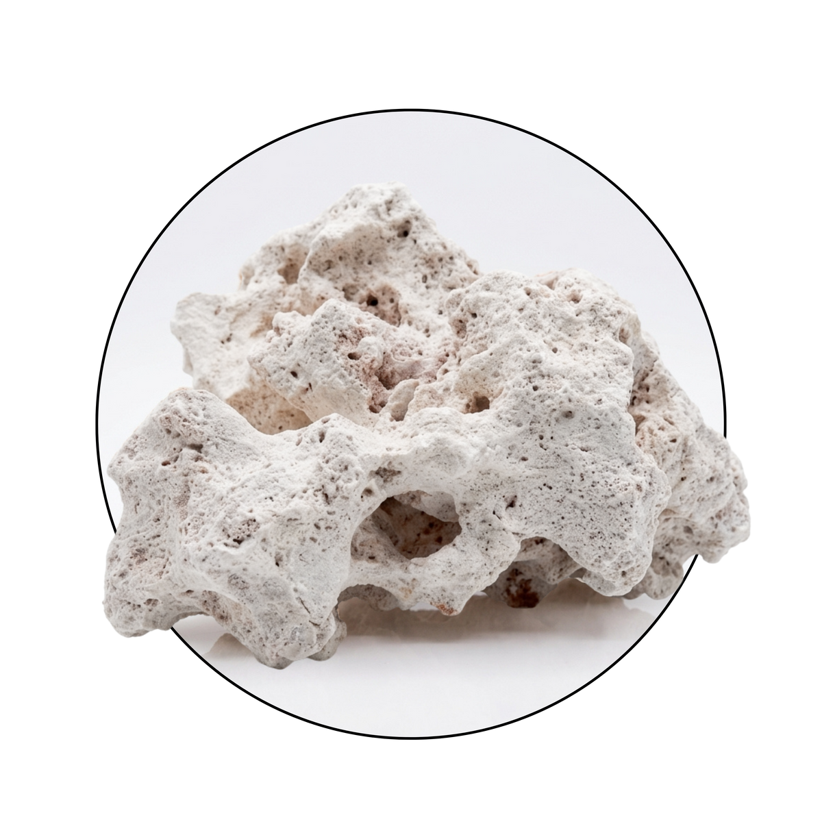 Texas Holey Rock | 2.5KG