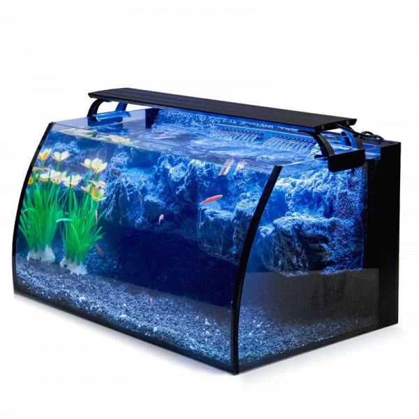 Hygger Horizon 36L Aquarium With Kit