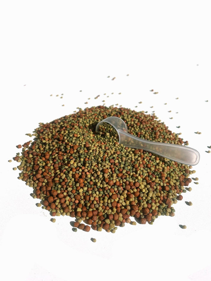Aquatees Premium Tropical & Cichlid Colour Enhancing Fish Food Aquatees Premium Tropical & Cichlid Colour Enhancing Fish Food