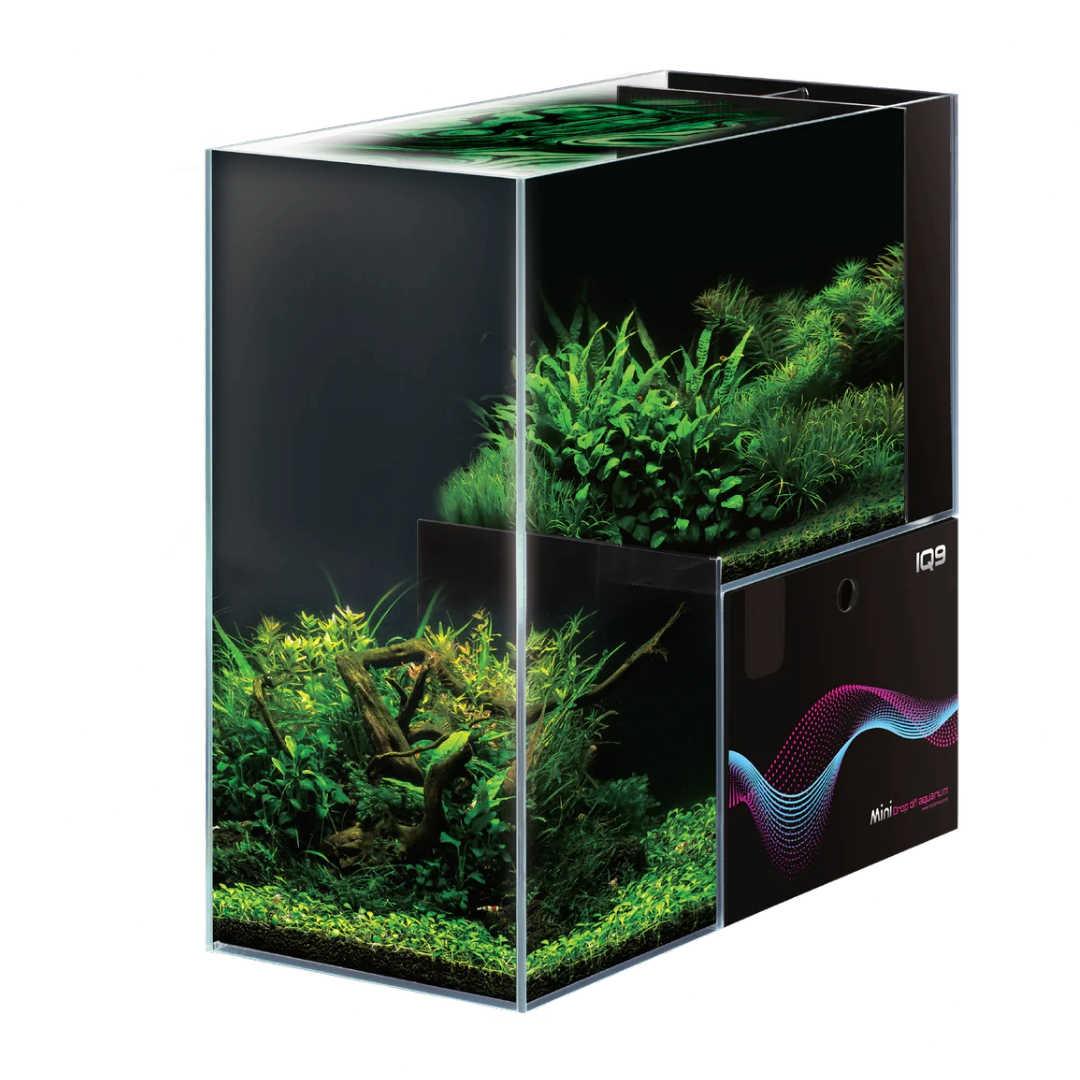 Dymax IQ9 Acrylic Aquariums – AQUATEES FISHLAND