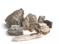 Fossilized Wood Rock