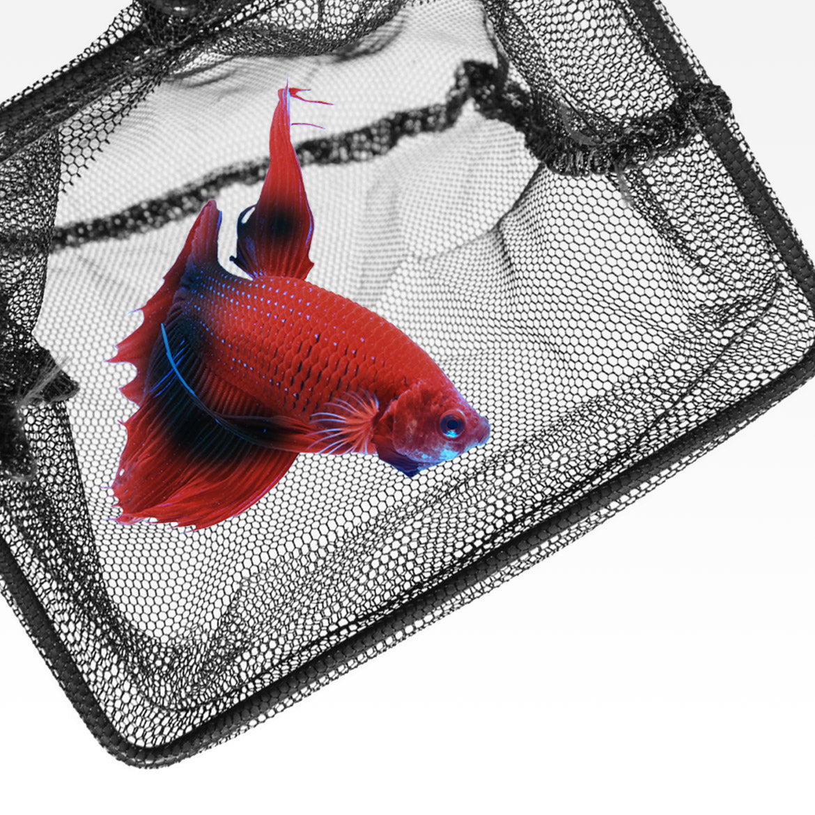 Seachem Fish Nets