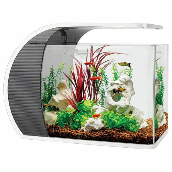 user-inserted Modern cheap aquarium starter kit with integrated LED hood and filter, stocked with small fish and plants.