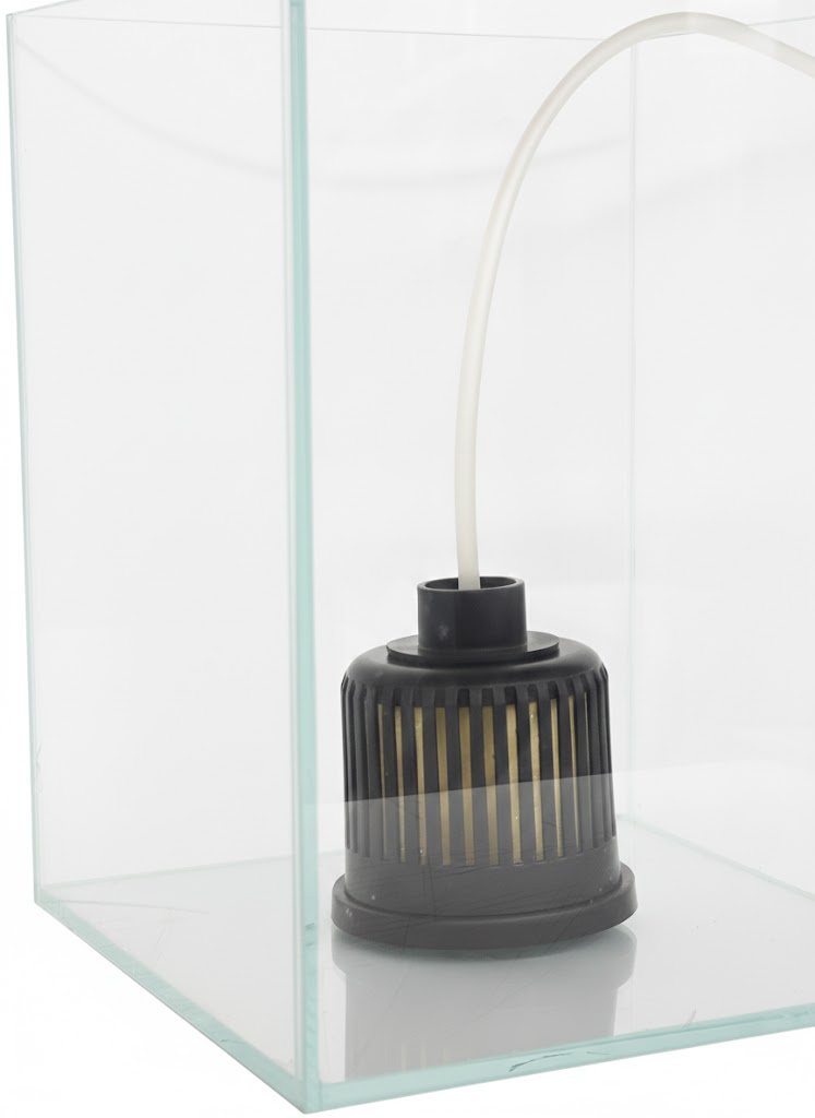 Aquatees Mini Aquarium Sponge Filter